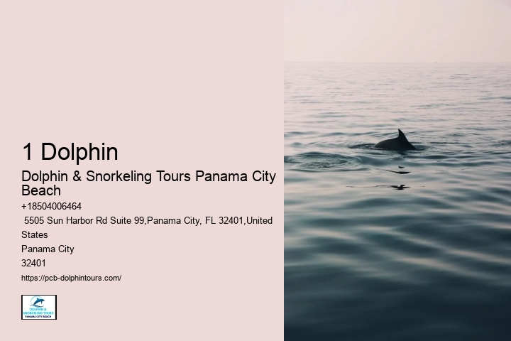 Panama City Beach Snorkeling Tours