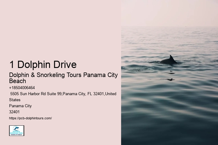 1 Dolphin Drive