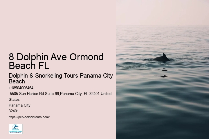 Shell Island Dolphin And Snorkeling Tour