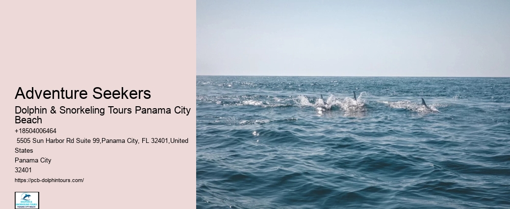 Do Dolphins Swim Humans To Shore