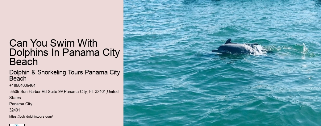 Blue Dolphin Snorkeling Tours