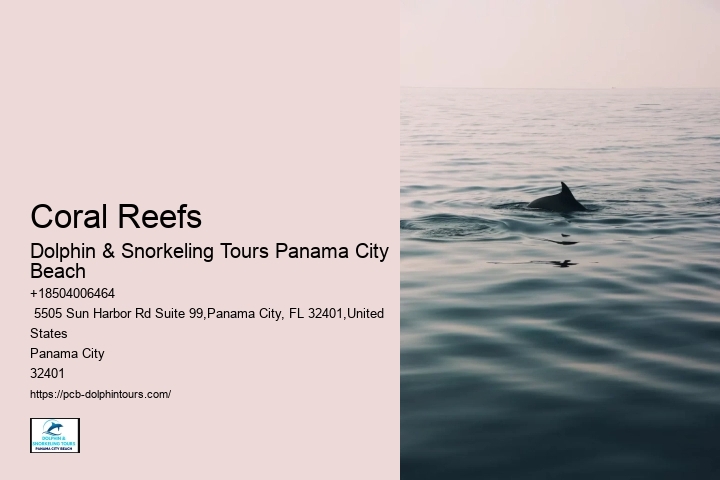 Discover Marine Habitats