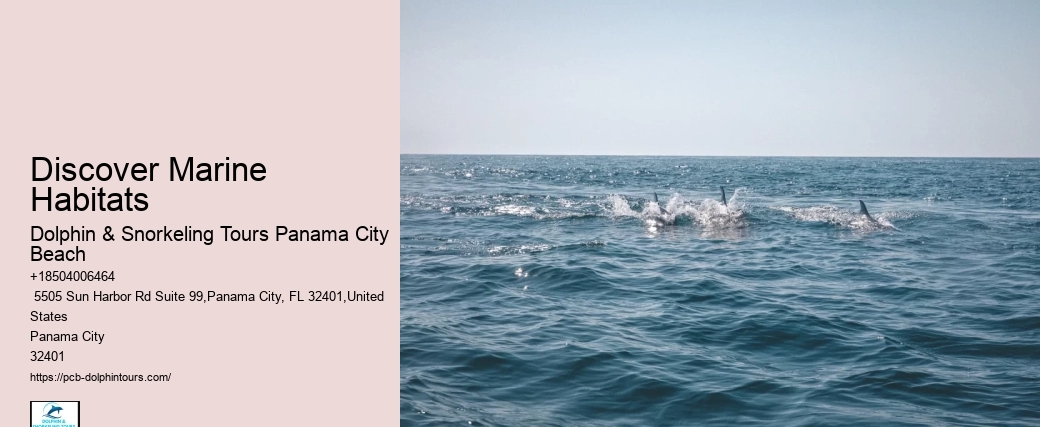 Discover Marine Habitats