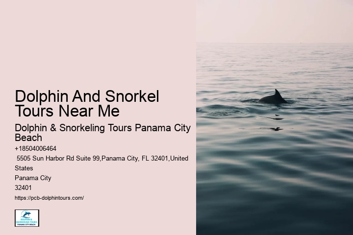 Dolphin And Snorkel Tours Near Me