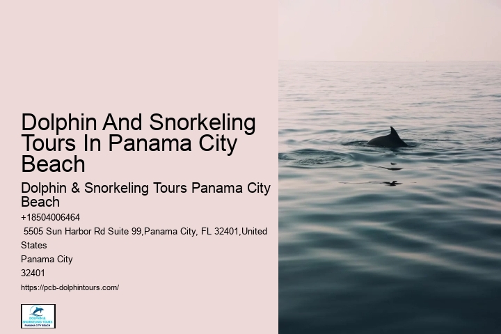 Dolphin And Snorkeling Tours In Panama City Beach