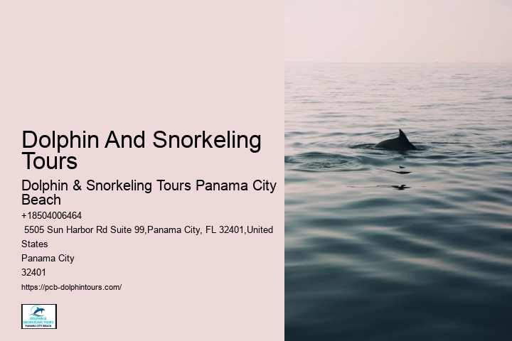Panama City Beach Dolphin Tours & Adventures Llc