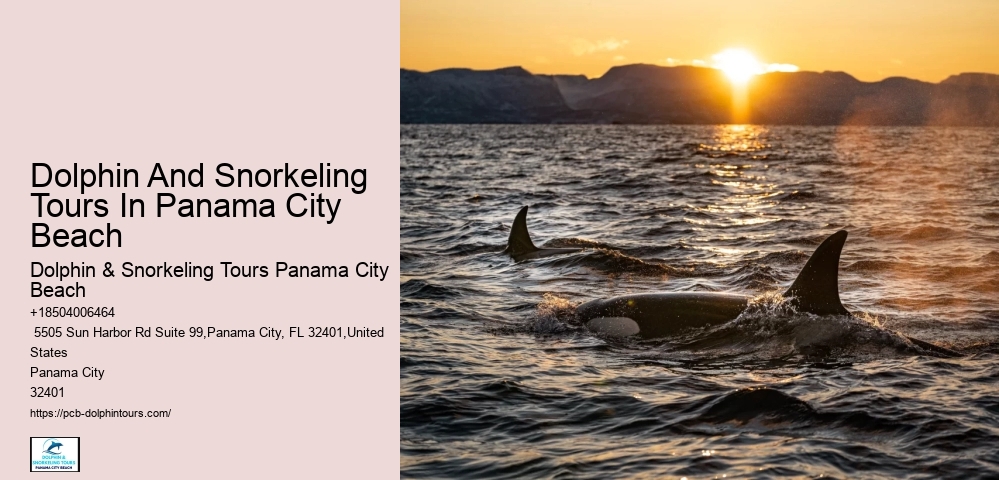 4 Best Beaches In Panama City Beach To Visit By Boat