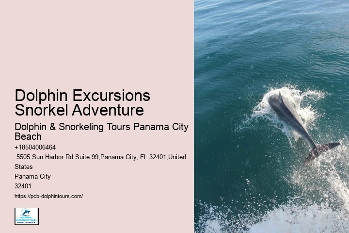Dolphin Excursions Snorkel Adventure