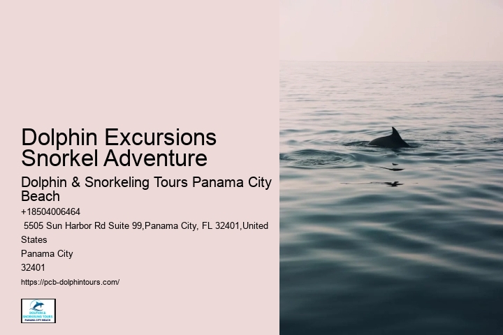 What Beach In Florida Has The Most Dolphins