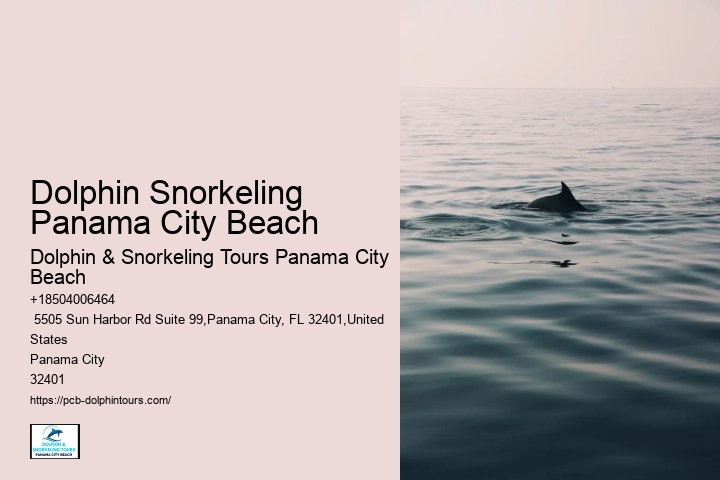 Snorkelling Tours In Panama City Beach