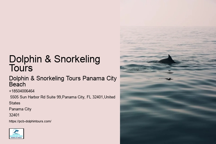 Snorkeling In Panama City Beach