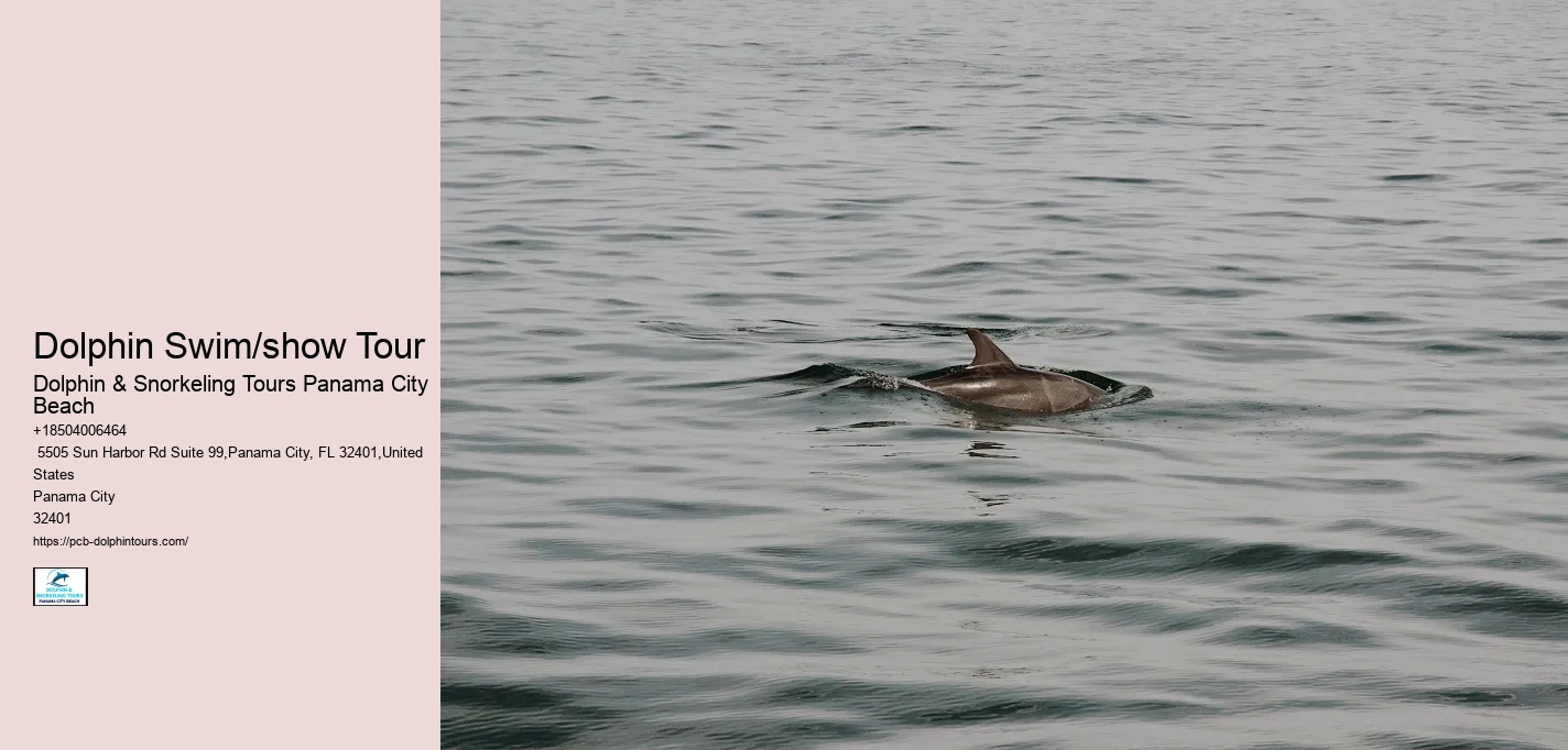 Dolphin Swim/show Tour