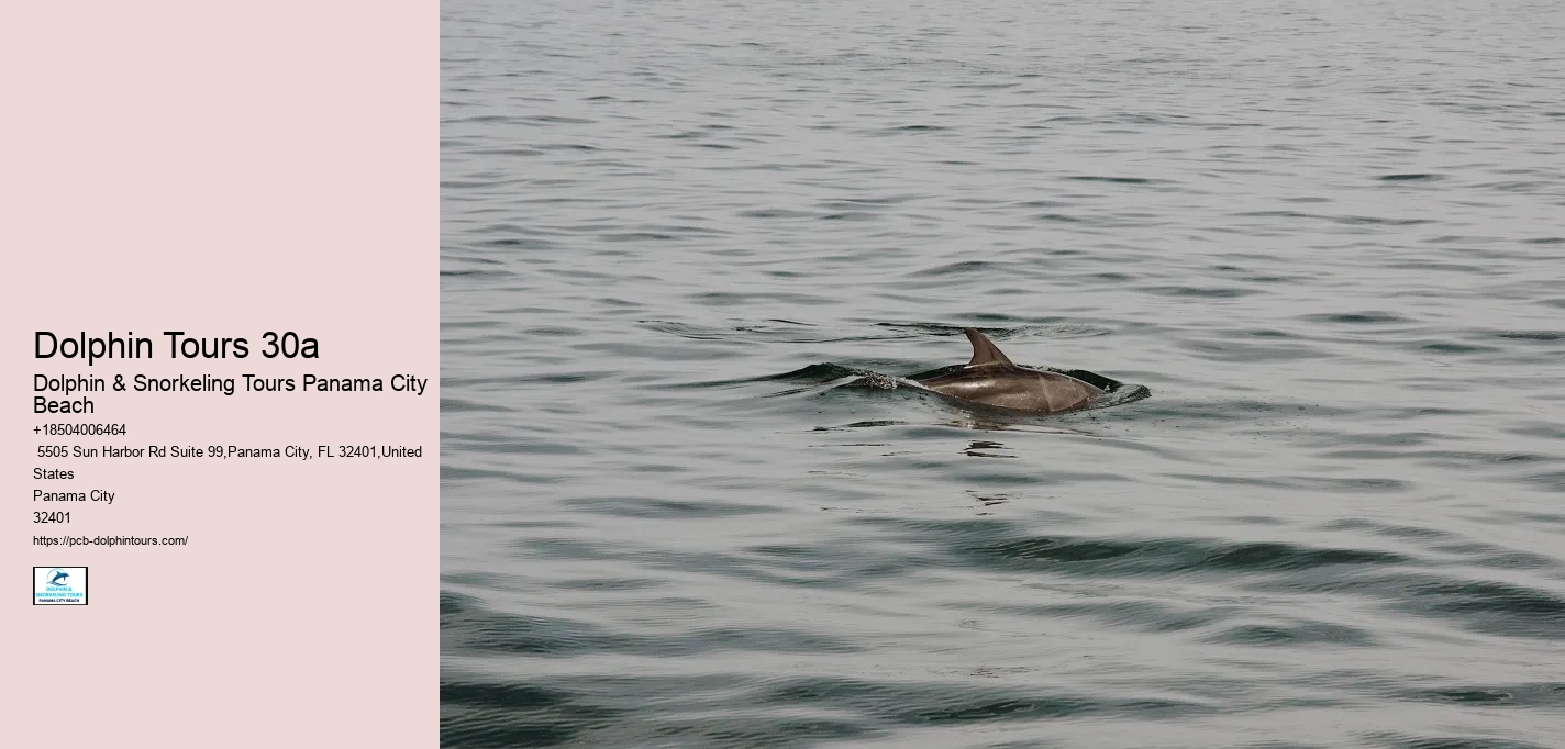 Dolphin Tours 30a
