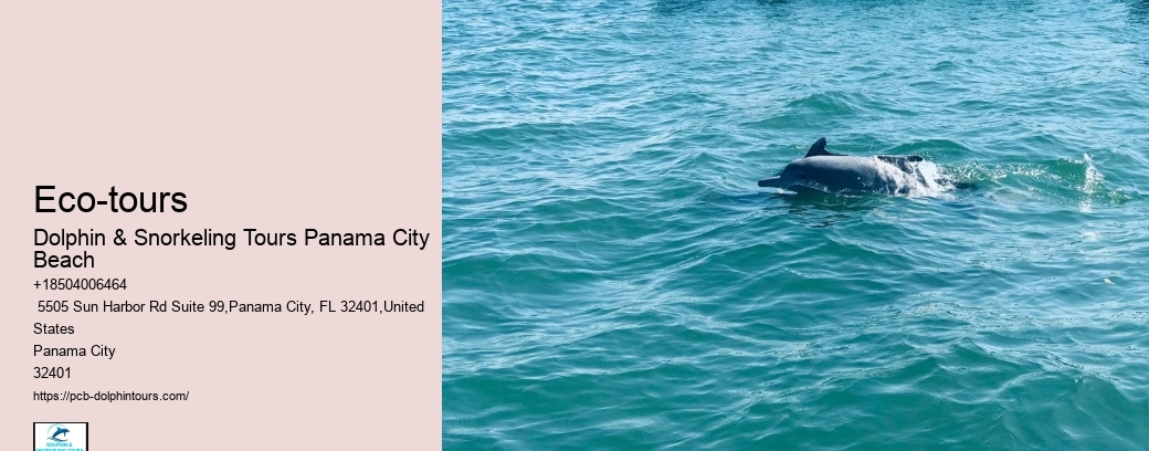 Are There Coral Reefs In Panama City Beach