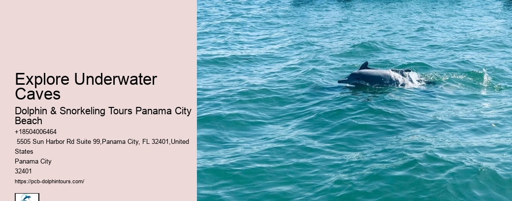 Coastal Foraging