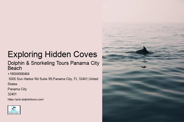 Exploring Hidden Coves