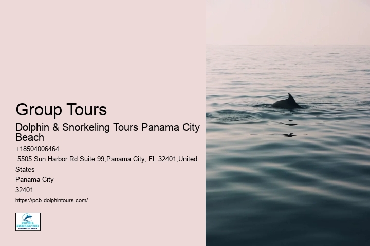 Best Dolphin & Snorkeling Tours