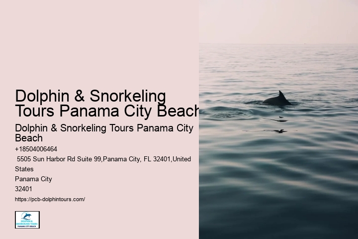 Snorkeling Tours Panama City