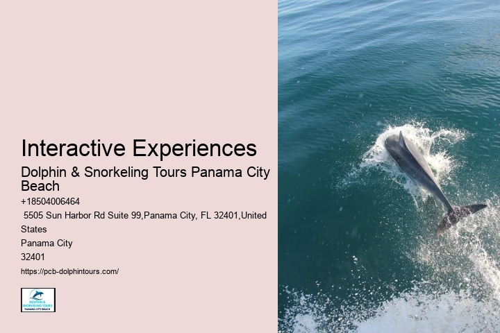 Interactive Experiences