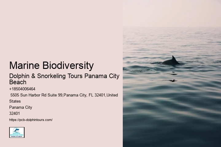 Marine Biodiversity