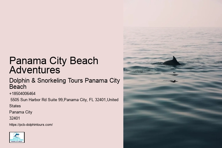 Where Can You Swim With Turtles In Panama