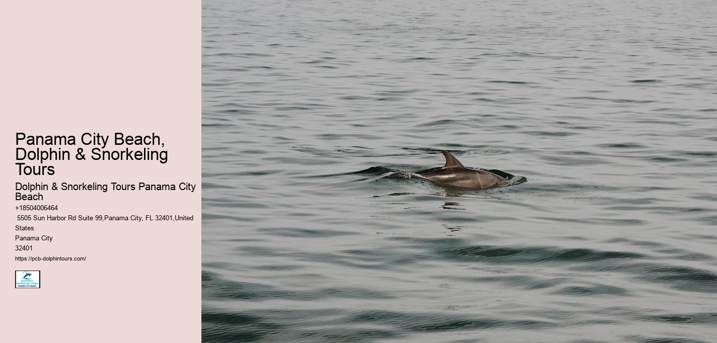Panama City Beach, Dolphin & Snorkeling Tours