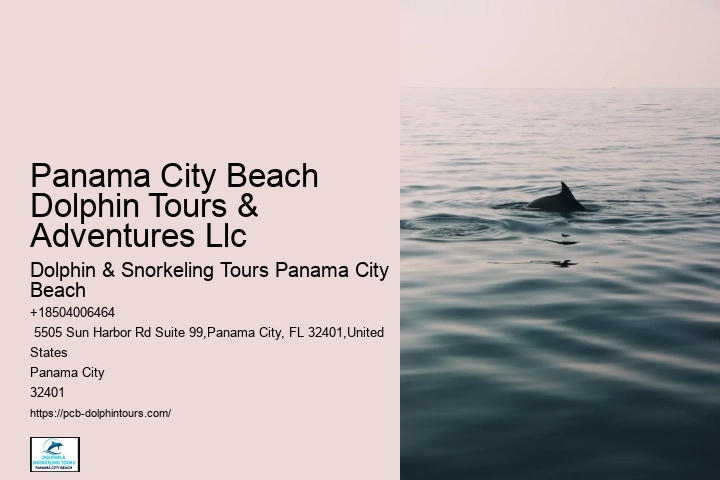 Panama City Beach Dolphin Tours & Adventures Llc