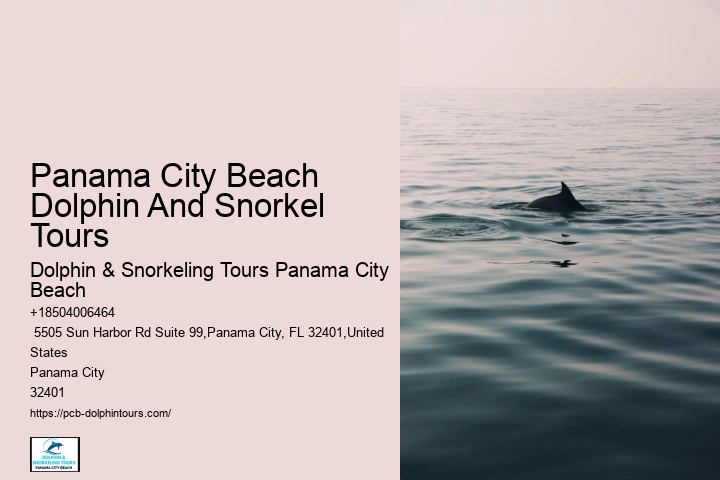 Dolphin Tours Near Me