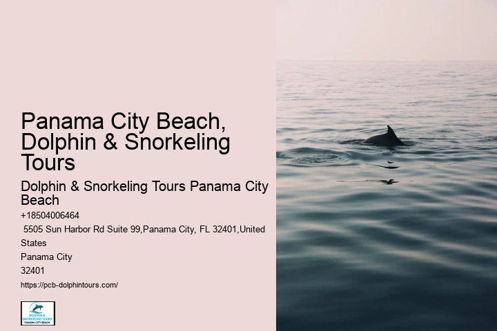 Coastline Dolphin & Snorkeling Excursions Photos