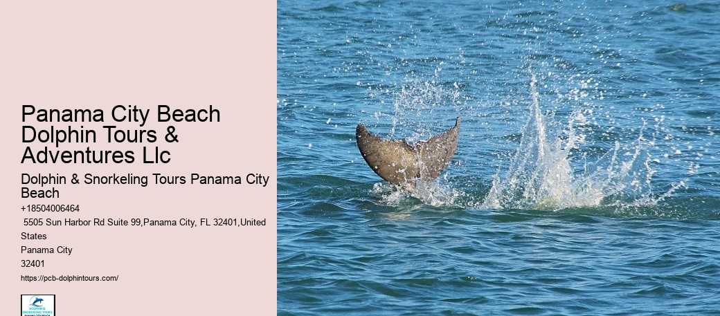 Are There Seahorses In Panama City Beach