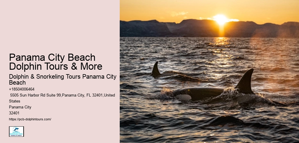 Adventurous Activities In Panama City Beach