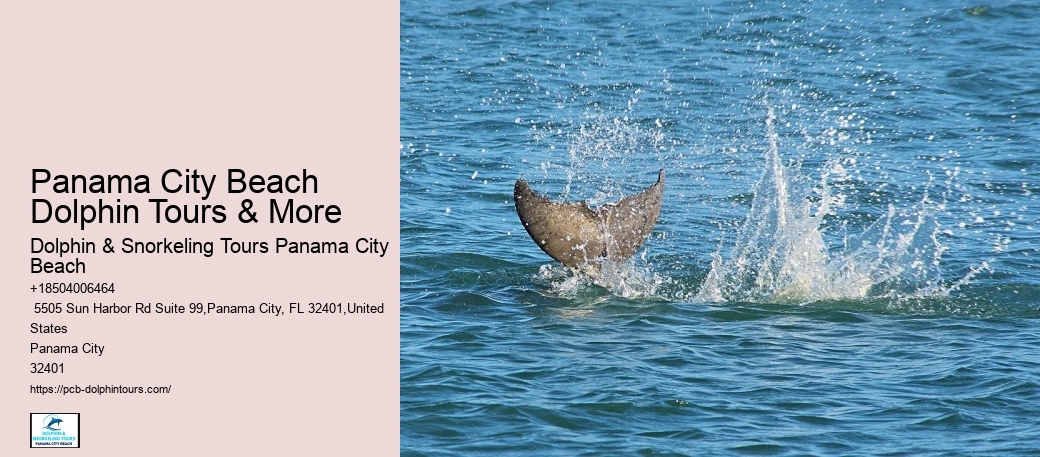 Is It Safe To Swim At Panama City Beach