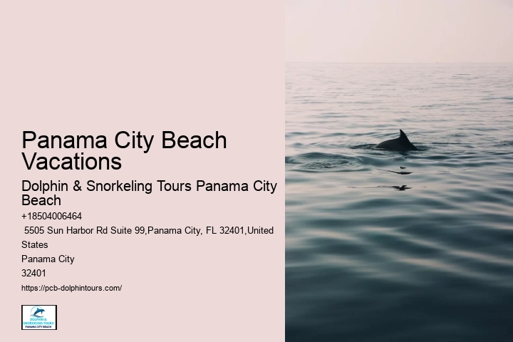 Adventurous Activities In Panama City Beach