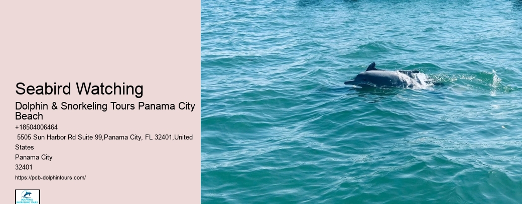4 Best Beaches In Panama City Beach To Visit By Boat