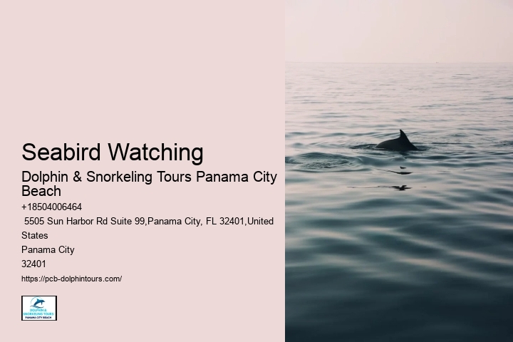 Is It Safe To Be In The Water With Dolphins