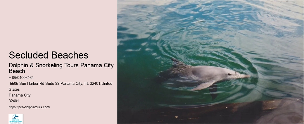 Is There Good Snorkeling In Panama City Beach