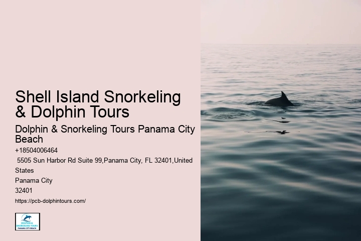 What Are The Risks Of Hugging Dolphins In The Wild