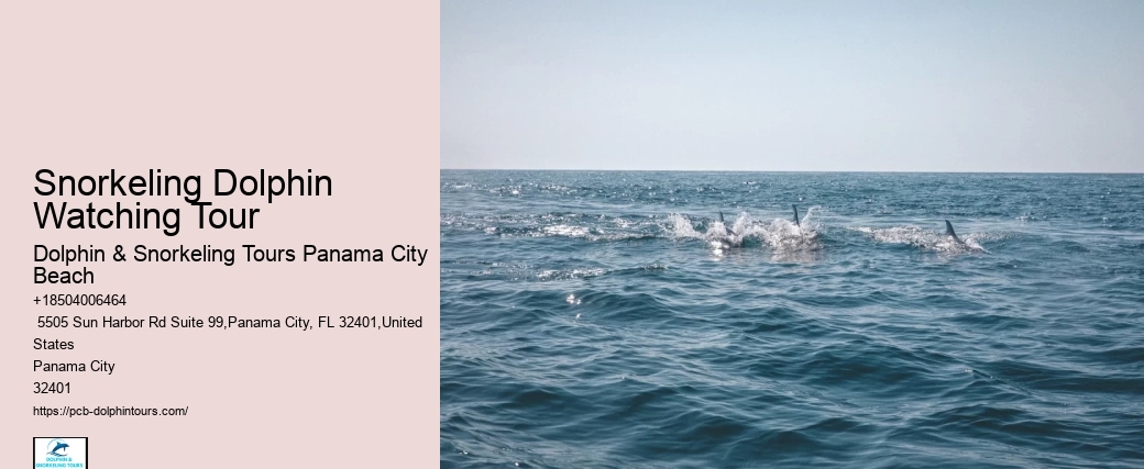 Coastal Sightseeing