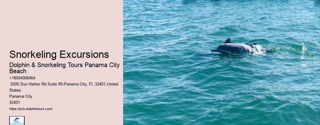 Where Is The Best Place To Swim With Dolphins