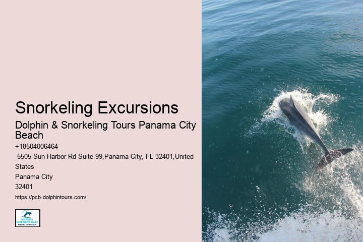 Dolphin Tour