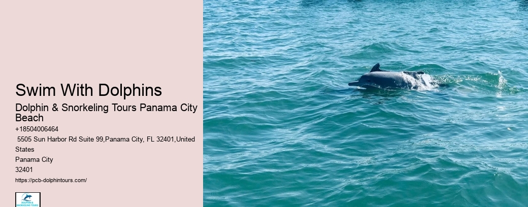 What Is The Weight Limit For Swimming With Dolphins
