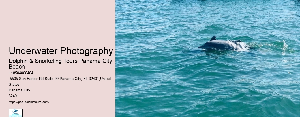 How Much Is Snorkeling In Panama City Panama