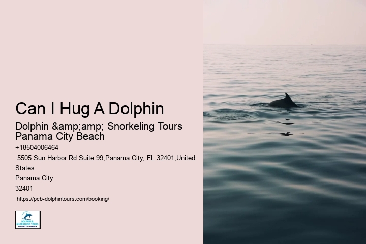 City Beach Dolphin Tours