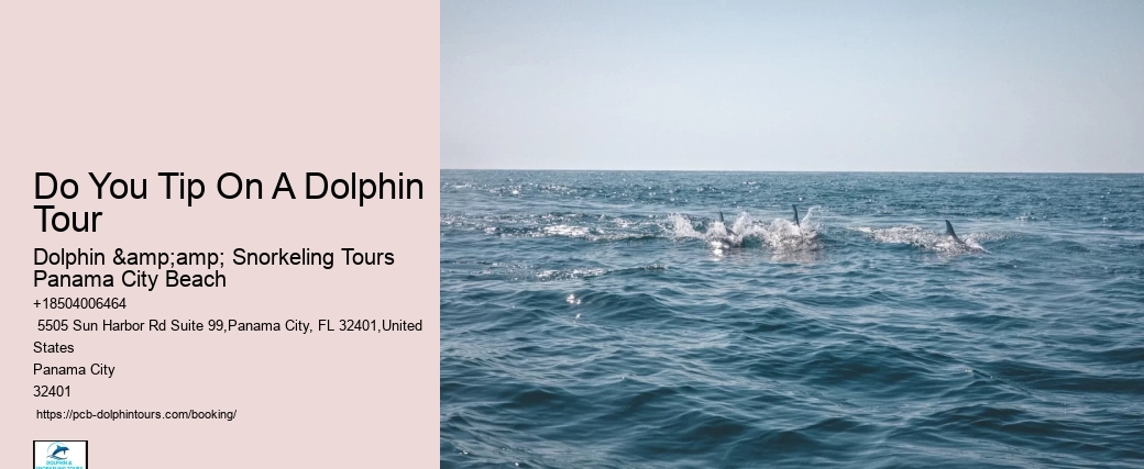 Plan Your Perfect Day – Secure Your Booking
