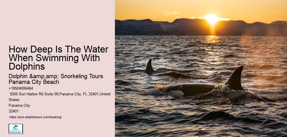 How Deep Is The Water When Swimming With Dolphins