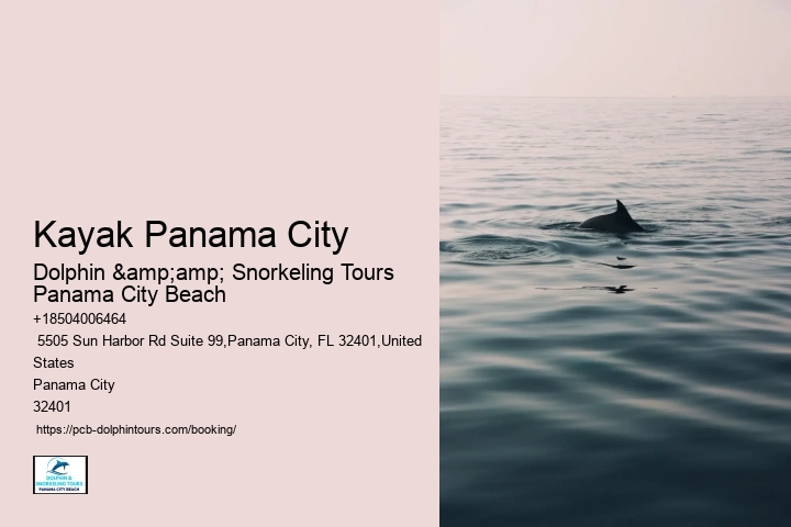 Secure Your Dolphin Tour And Discover The Beauty Of Panama City Beach's Coastal Treasures