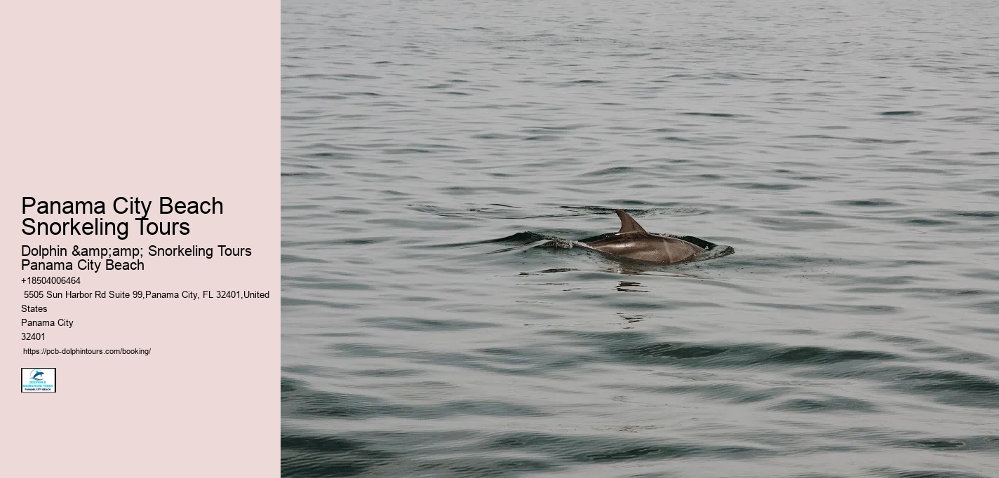 Panama City Beach Snorkeling Tours