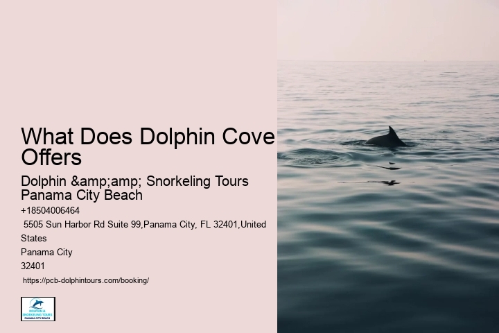 What Does Dolphin Cove Offers