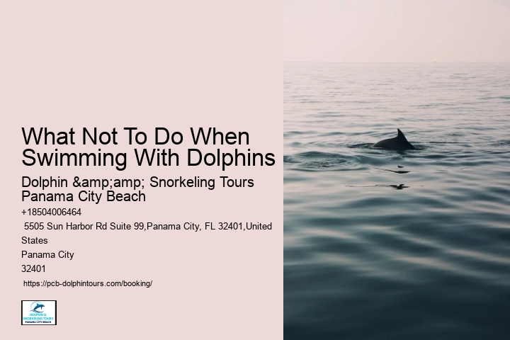 What Not To Do When Swimming With Dolphins