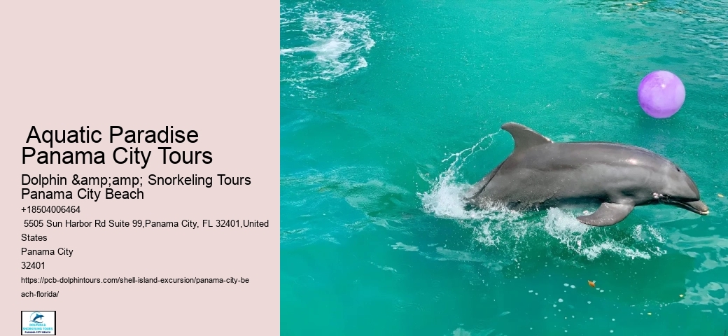  Panama City Marine Life Excursions